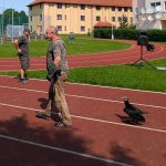 phoca_thumb_m_pxl_20250605_082503573  kopie Fotogalerie